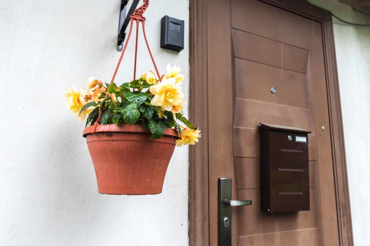 Ferienwohnung Napoleona Apartamenti Kuldīga Exterior foto